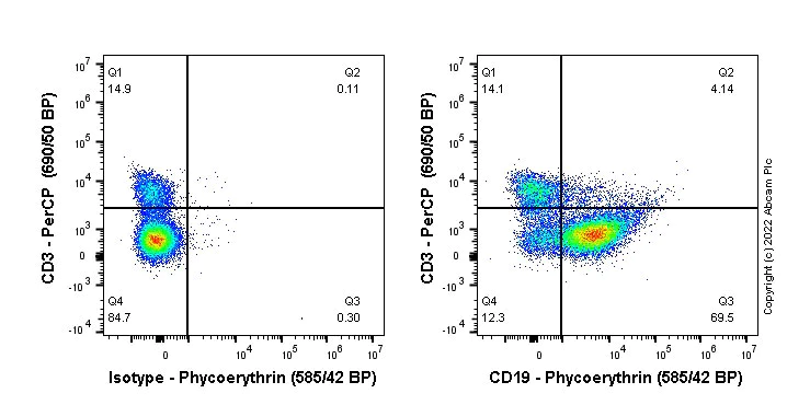 Flow Cytometry - PE Anti-CD19 antibody [EPR23174-145] (AB306537)
