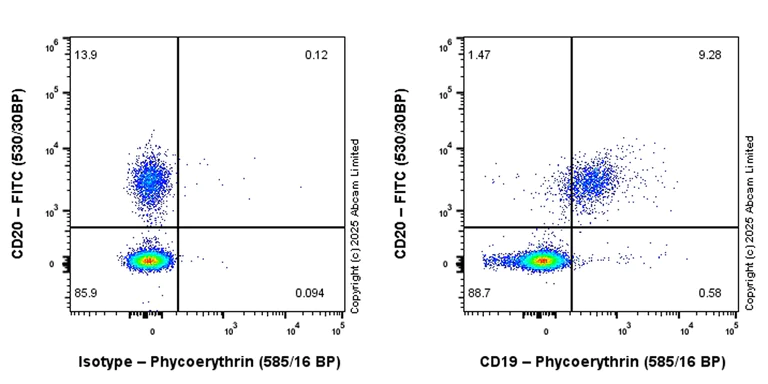 Flow Cytometry - PE Anti-CD19 antibody [EPR28949-512] (AB324152)