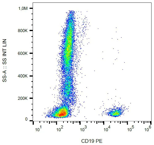 Flow Cytometry - PE Anti-CD19 antibody [LT19] (AB18229)