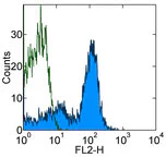 Flow Cytometry - PE Anti-CD19 antibody [MB19-1] (AB93562)