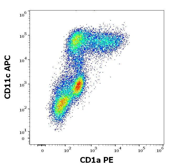 Flow Cytometry - PE Anti-CD1A antibody [HI149] (AB326505)