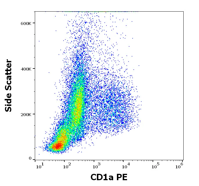 Flow Cytometry - PE Anti-CD1A antibody [HI149] (AB326505)