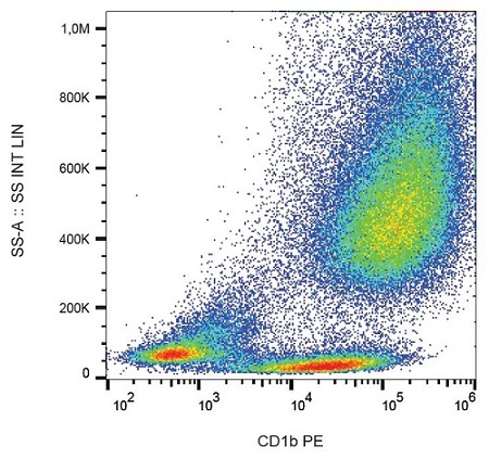 Flow Cytometry - PE Anti-CD1b antibody [SN13] (AB232916)
