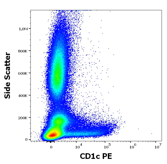Flow Cytometry - PE Anti-CD1c antibody [L161] (AB326524)