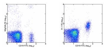 Flow Cytometry - PE Anti-CD1d antibody [51.1] (AB95733)