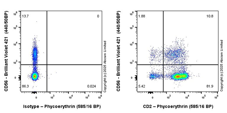 Flow Cytometry - PE Anti-CD2 antibody [EPR27426-17] (AB323756)