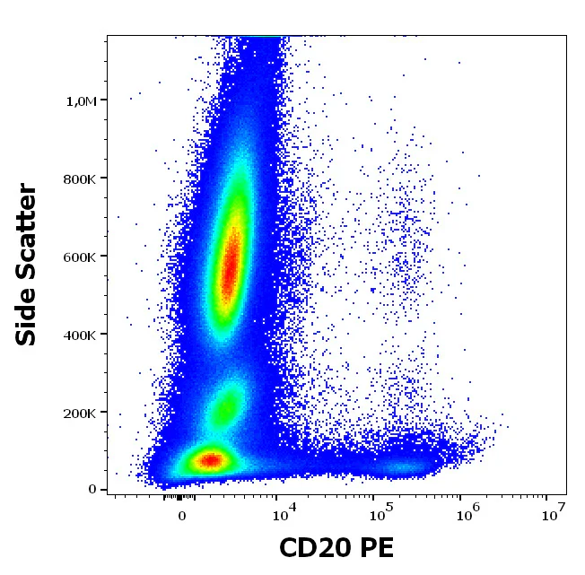 Flow Cytometry - PE Anti-CD20 antibody [2H7] (AB326514)
