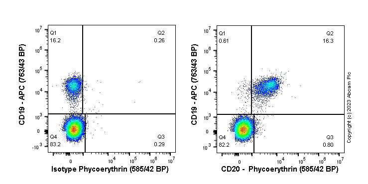 Flow Cytometry - PE Anti-CD20 antibody [PDR78] (AB314260)