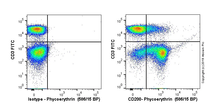 Flow Cytometry - PE Anti-CD200 / OX2 antibody [MRC OX-2] (AB256289)