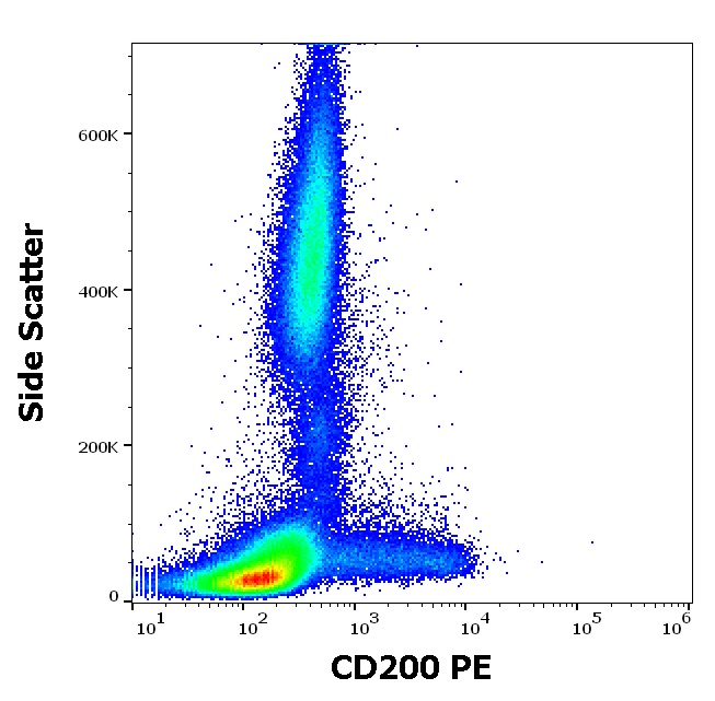 Flow Cytometry - PE Anti-CD200 / OX2 antibody [OX-104] (AB183463)