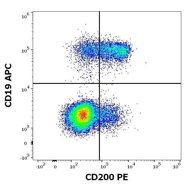 Flow Cytometry - PE Anti-CD200 / OX2 antibody [OX-104] (AB183463)