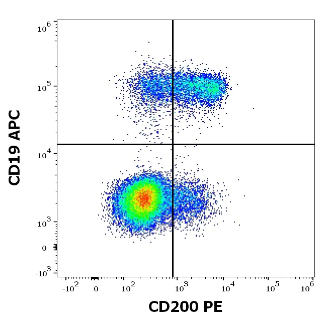 Flow Cytometry - PE Anti-CD200 / OX2 antibody [OX-104] (AB183463)