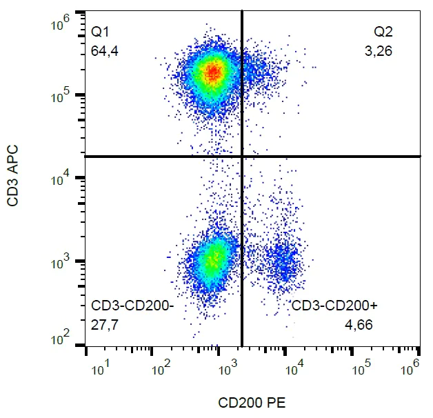 Flow Cytometry - PE Anti-CD200 / OX2 antibody [OX-104] (AB183463)