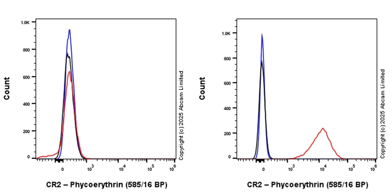 Flow Cytometry - PE Anti-CD21 antibody [EPR27369-9] (AB323755)