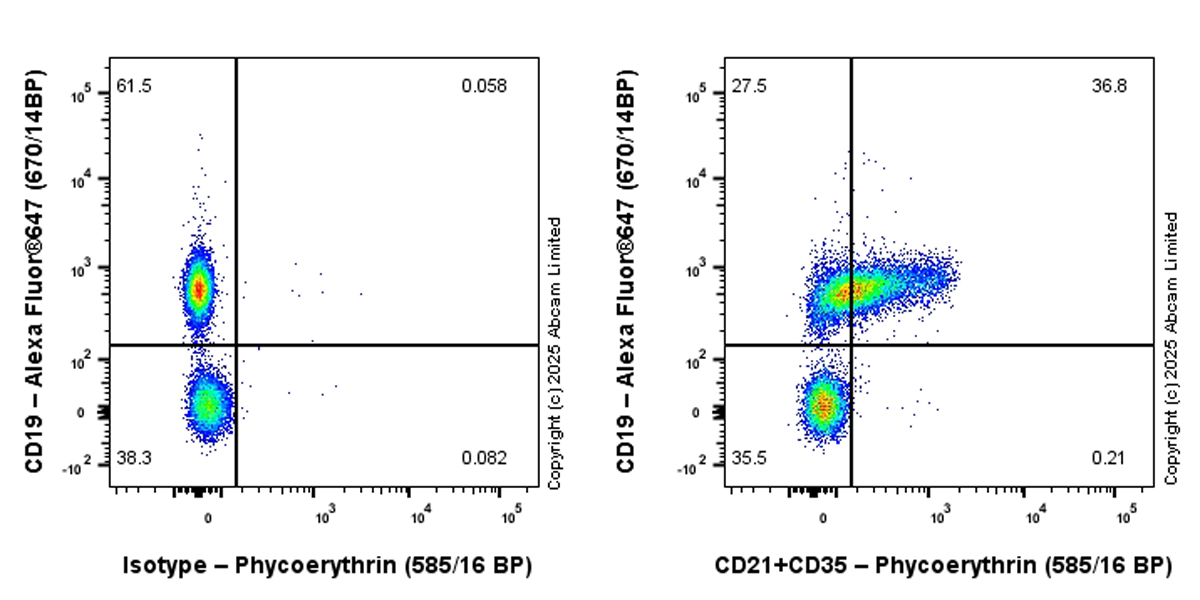Flow Cytometry - PE Anti-CD21+CD35 antibody [EPR27417-513] (AB324033), expandable thumbnail