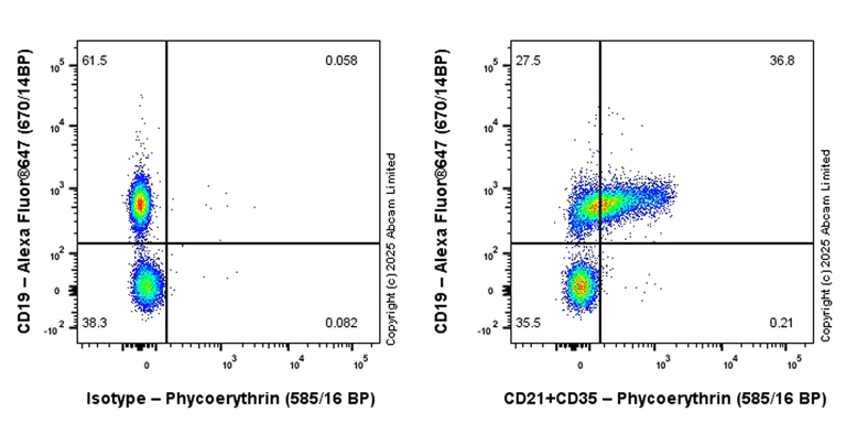 Flow Cytometry - PE Anti-CD21+CD35 antibody [EPR27417-513] (AB324033)