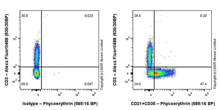 Flow Cytometry - PE Anti-CD21+CD35 antibody [EPR27417-513] (AB324033)