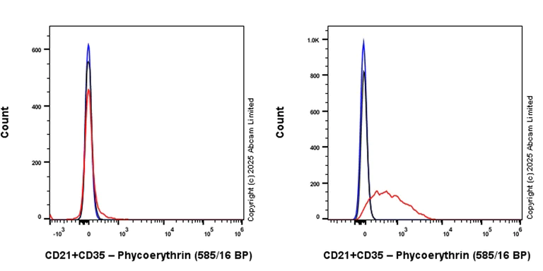 Flow Cytometry - PE Anti-CD21+CD35 antibody [EPR27417-513] (AB324033)