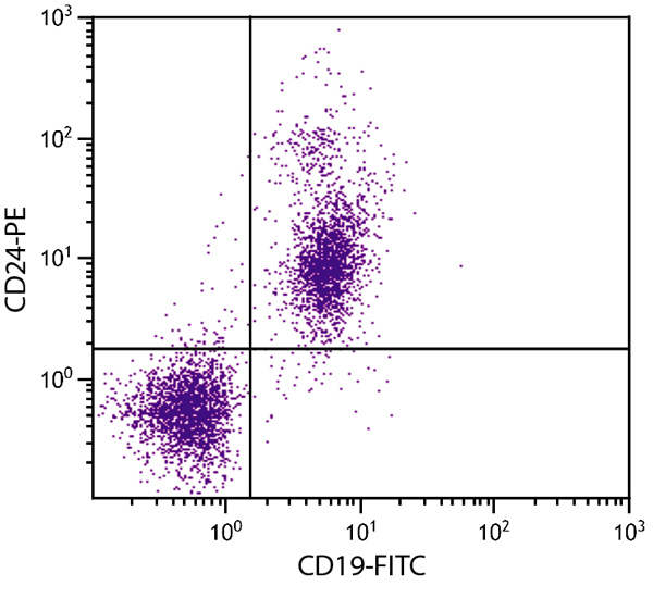 Flow Cytometry - PE Anti-CD24 antibody [30-F1] (AB25494)