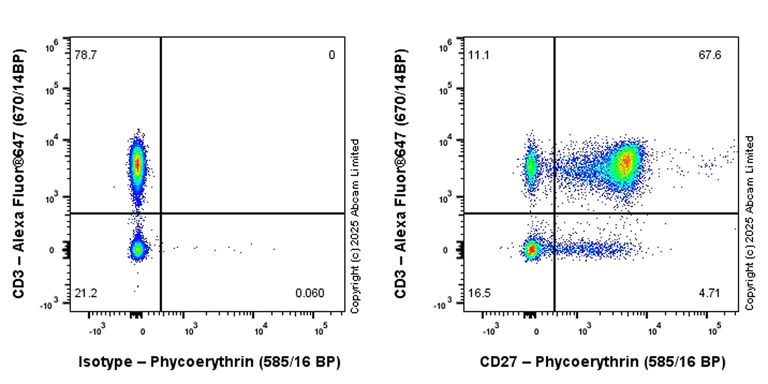 Flow Cytometry - PE Anti-CD27 antibody [EPR27428-9] (AB324175)