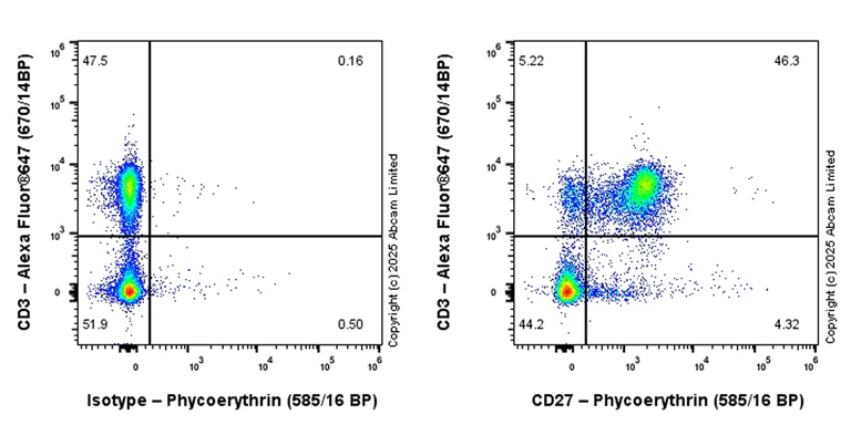 Flow Cytometry - PE Anti-CD27 antibody [EPR27428-9] (AB324175)