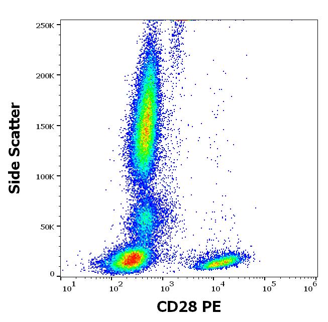 Flow Cytometry - PE Anti-CD28 antibody [CD28.2] (AB134418), expandable thumbnail
