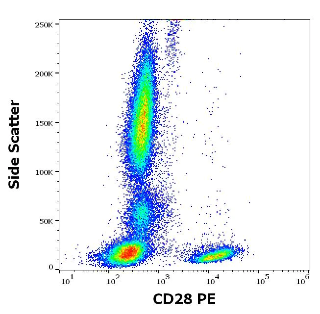 Flow Cytometry - PE Anti-CD28 antibody [CD28.2] (AB134418)