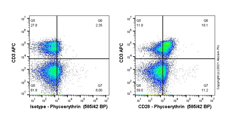 Flow Cytometry - PE Anti-CD28 antibody [EPR23280-63] (AB275154)