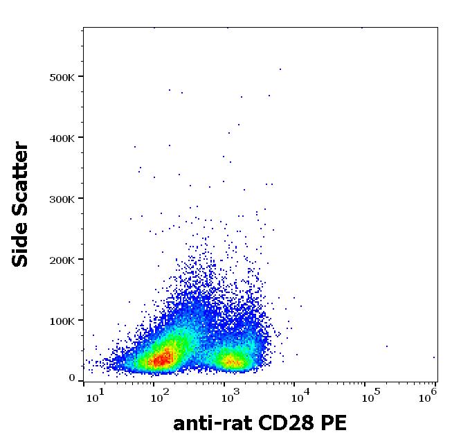 Flow Cytometry - PE Anti-CD28 antibody [JJ319] (AB176502)