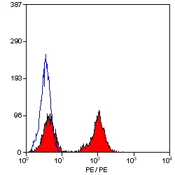 Flow Cytometry - PE Anti-CD28 antibody [YTH 913.12] (AB30387)