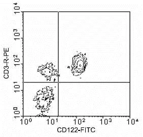 Flow Cytometry - PE Anti-CD3 epsilon antibody [C363.29B] (AB25380)
