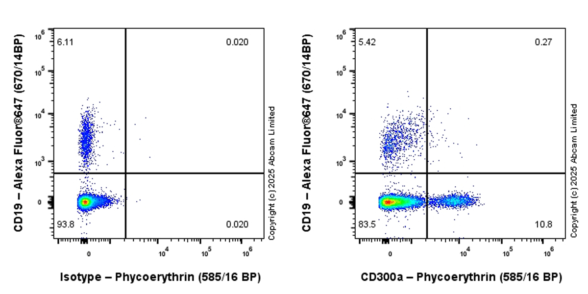 Flow Cytometry - PE Anti-CD300a antibody [EPR27995-84] (AB323732), expandable thumbnail