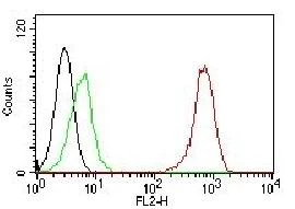 Flow Cytometry - PE Anti-CD31 antibody [C31.7] (AB215753)