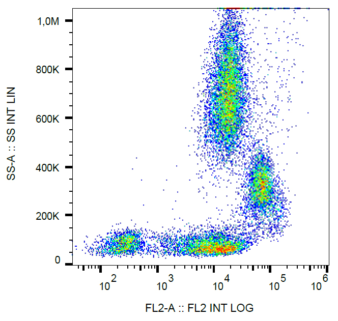 Flow Cytometry - PE Anti-CD31 antibody [MEM-05] (AB269307), expandable thumbnail