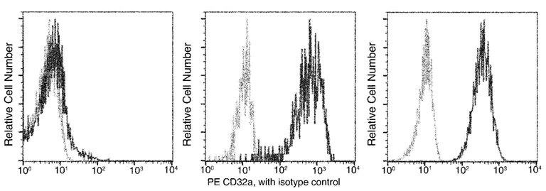 Flow Cytometry - PE Anti-CD32A antibody [02] (AB279585)