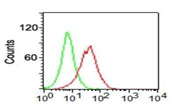 Flow Cytometry - PE Anti-CD34 antibody [ICO-115] (AB187284)
