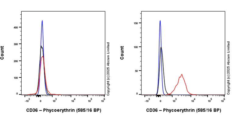 Flow Cytometry - PE Anti-CD36 antibody [EPR27433-40] (AB323779)