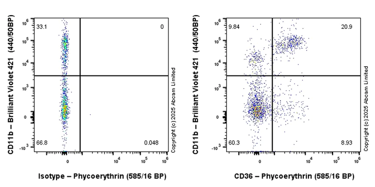 Flow Cytometry - PE Anti-CD36 antibody [EPR27433-40] (AB323779)