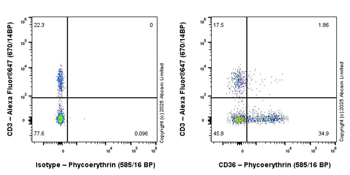 Flow Cytometry - PE Anti-CD36 antibody [EPR27433-40] (AB323779), expandable thumbnail