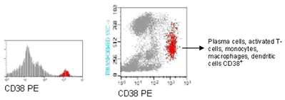 Flow Cytometry - PE Anti-CD38 antibody [GR7A4] (AB90945)