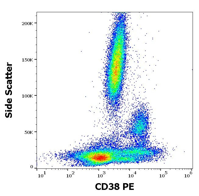 Flow Cytometry - PE Anti-CD38 antibody [HIT2] (AB326506)