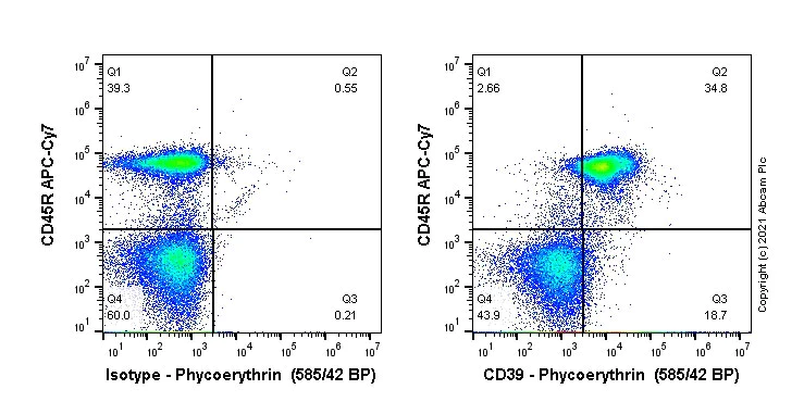 Flow Cytometry - PE Anti-CD39 antibody [EPR22507-48] (AB270918)