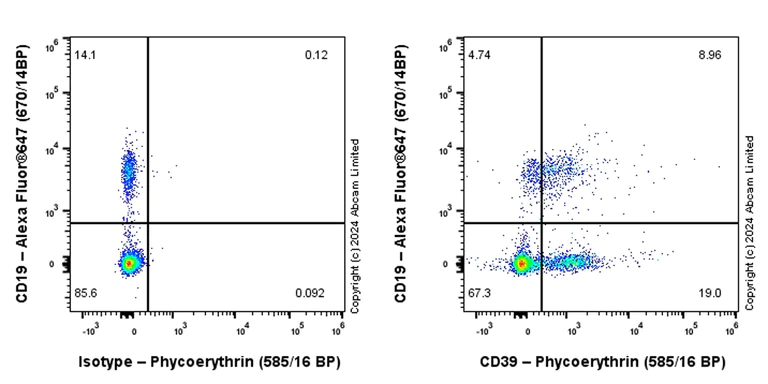 Flow Cytometry - PE Anti-CD39 antibody [EPR26473-58] (AB322530)