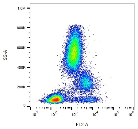 Flow Cytometry - PE Anti-CD39 antibody [TU66] (AB232976)