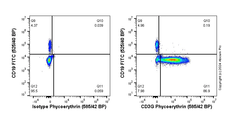 Flow Cytometry (Intracellular) - PE Anti-CD3G antibody [EPR4517] (AB305817)