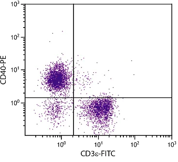 Flow Cytometry - PE Anti-CD40 antibody [1C10] (AB25270)