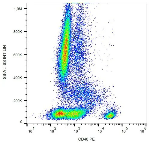 Flow Cytometry - PE Anti-CD40 antibody [HI40a] (AB326507)