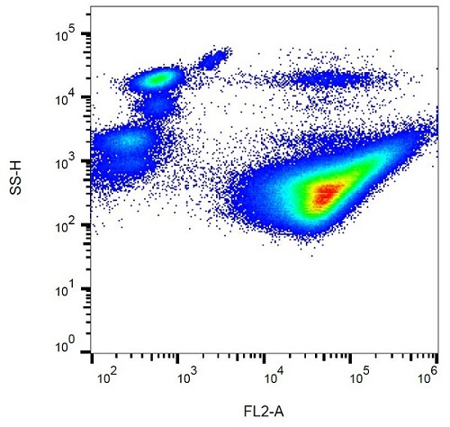 Flow Cytometry - PE Anti-CD42b antibody [AK2] (AB232912)