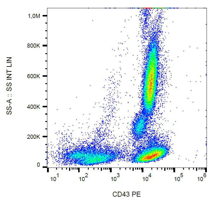 Flow Cytometry - PE Anti-CD43 antibody [MEM-59] (AB326503)