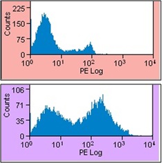 Flow Cytometry - PE Anti-CD44 antibody [OX-50] (AB23396)